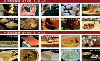 2024新奥免费资料|探秘澳门美食文化之旅_管控版.4.885