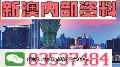 2024新奥资料免费精准051,澳门|权威研究解释落实_内测版.4.971