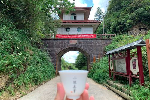 新澳门彩好运来免费|实践分析解释落实_红单版.9.467