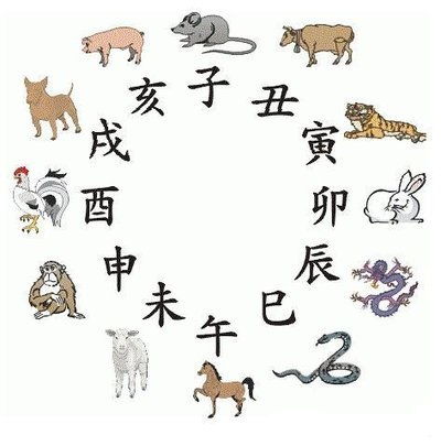 2024今晚开的四不像生肖图|未来科技探索新视野_顶级款.4.939