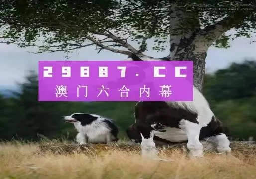 2023澳门正版跑马图|标准化流程评估_精英版.0.615