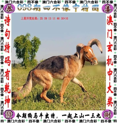 2024今晚必中四不像图1|实践解答解释落实_移动版SSIP.0.501