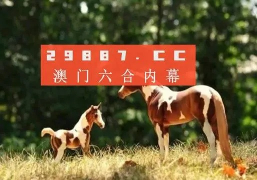 2024今晚必中四不像图1|实践解答解释落实_移动版SSIP.0.501