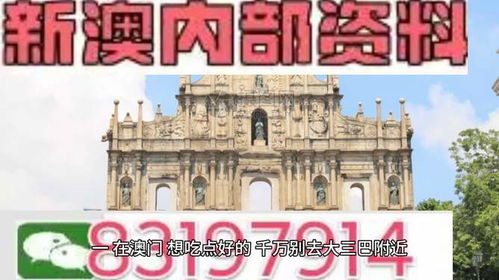 新澳门今晚精准一肖|探索城市新风尚与秘密角落_视频集.8.341