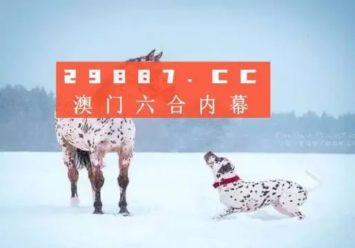澳门王中王100的资料2023|探索澳门的秘密与美景_精简版Meituan.1.826