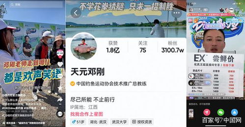 二四六香港全年免费资料说明|探索城市新生活的无限可能_电商版.4.819