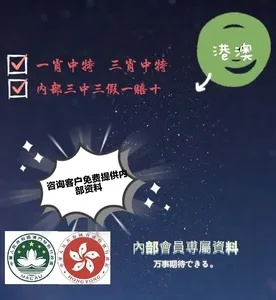 香港最准100%一肖中特特色|预测分析解释落实_技术版.7.493