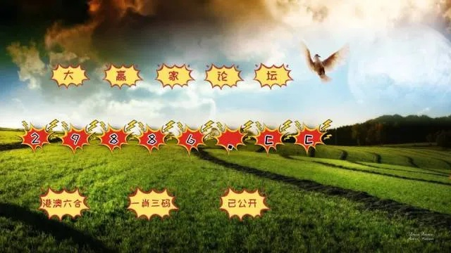 老澳门开奖结果+开奖记录20|探索澳门魅力的另一面_移动版SSIP.0.501