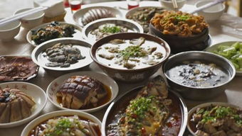 正版资料全年资料查询|探索古镇风情与美食之旅_终端款.0.617