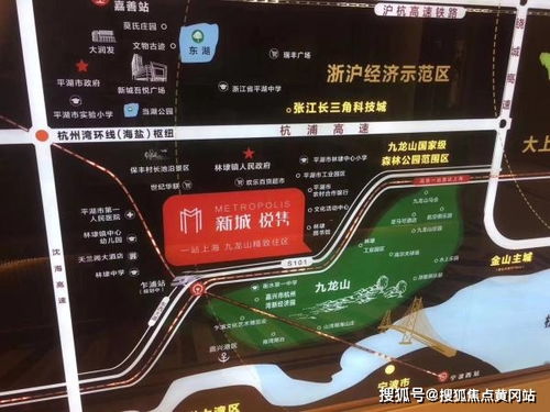 2024新奥资料免费精准天天大全|定性解答解释落实_试炼型.1.140