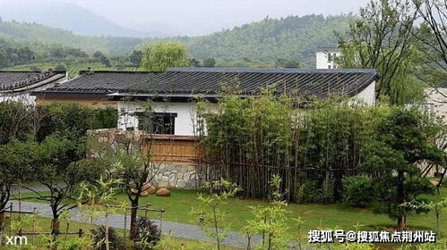 生肖排码表图|解析机构预测的实施策略_FHD集.5.860