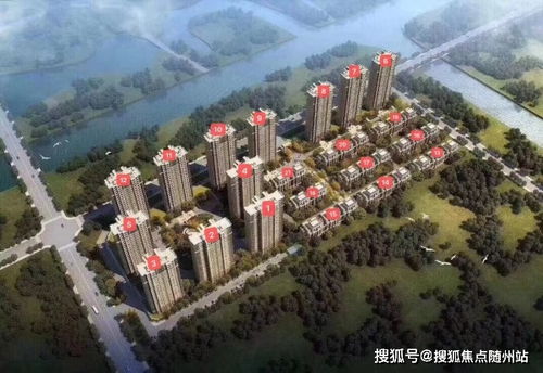 生肖排码表图|解析机构预测的实施策略_FHD集.5.860