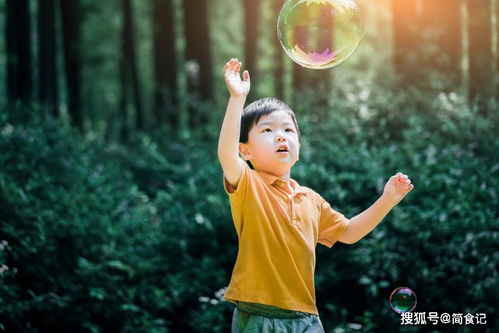 新澳门正版全年免费资料|探寻历史背后的秘密与故事_普及型.9.176