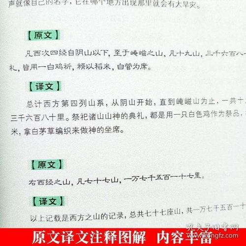 新奥门彩开奖历史记录查询图表|探索城市中的隐藏美景_授权版.9.562