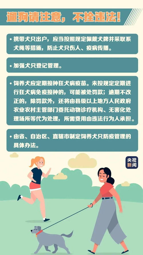 2024香港跑狗图新版|精细分析解释落实_防护集.3.998