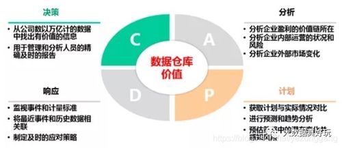 新澳六叔精准资料2944ccm|全面数据解释落实_收藏集.5.865
