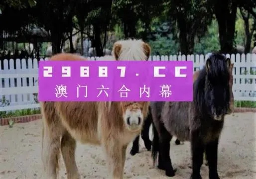 澳门49精准免费大全|理论依据解释落实_标准版ISHOP.2.636